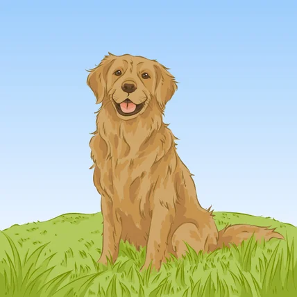포트폴리오-골든 리트리버 일러스트