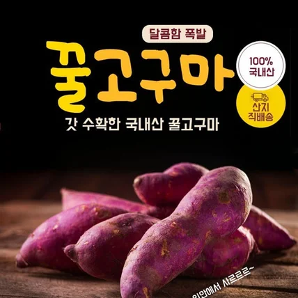 포트폴리오-국내산 꿀고구마