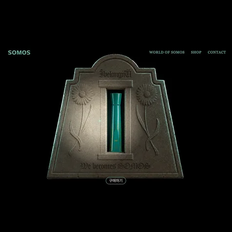 포트폴리오-SOMOS