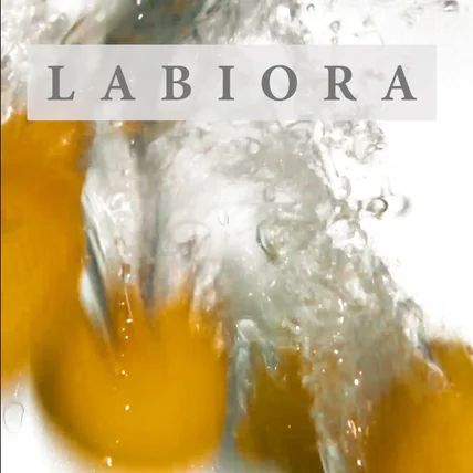 포트폴리오-[영상편집] 라비오라 홍보영상 편집