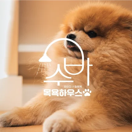 포트폴리오-[애견 목욕샵]
