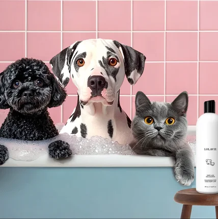 포트폴리오-애견 샴푸 기획 컨셉