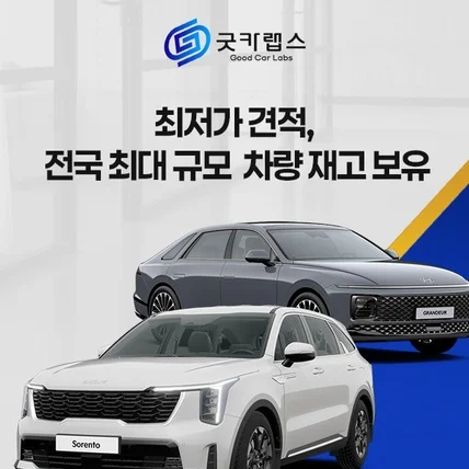 포트폴리오-굿카랩스 신차장기렌트
