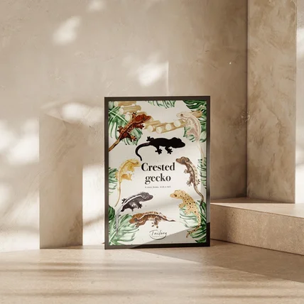 포트폴리오-도마뱀 손그림일러스트 포스터 디자인