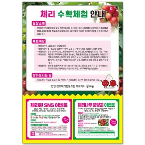 포트폴리오-체리 수확체험 홍보 전단지