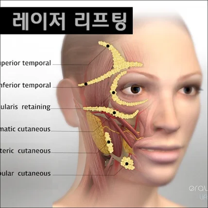 포트폴리오-[모션그래픽/3D모델링,사운드] 레이저 리프팅 피부탄력 효과 소개 영상
