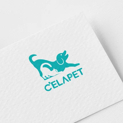 포트폴리오-반려동물 케어 브랜드