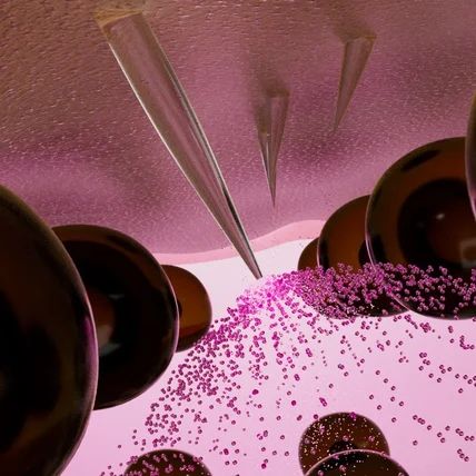 포트폴리오-샤르드 볼륨샷 아이백 패치[3D모델링/텍스처링/CG]