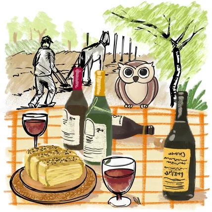 포트폴리오-로마냐X비오니 와인 팝업 포스터