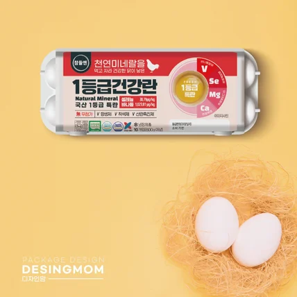 포트폴리오-1등급 건강란