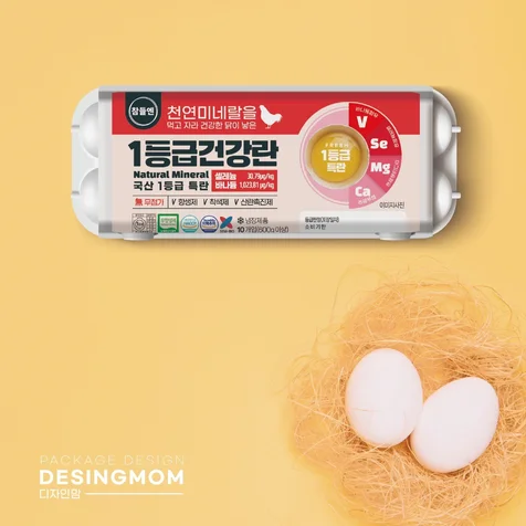 포트폴리오-1등급 건강란