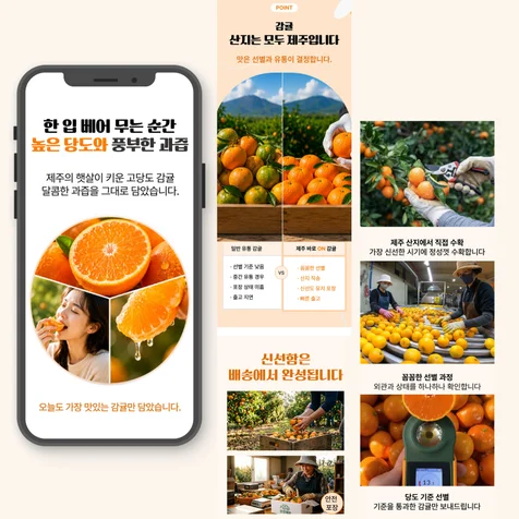 포트폴리오-식품/ 제주 감귤 상세페이지 디자인