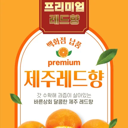 포트폴리오-바른상회 레드향 상세페이지