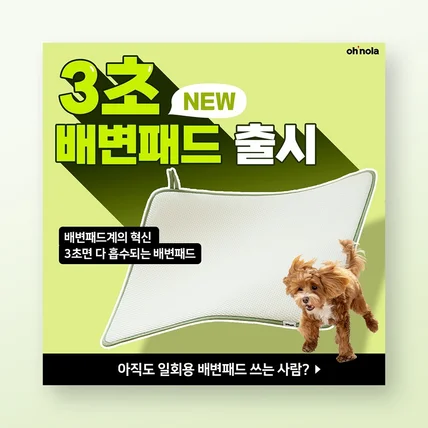 포트폴리오-[반려동물] SNS 광고 콘텐츠