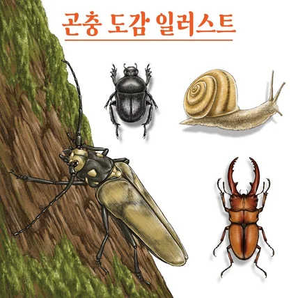 포트폴리오-어린이 교재/학습지/워크북 일러스트