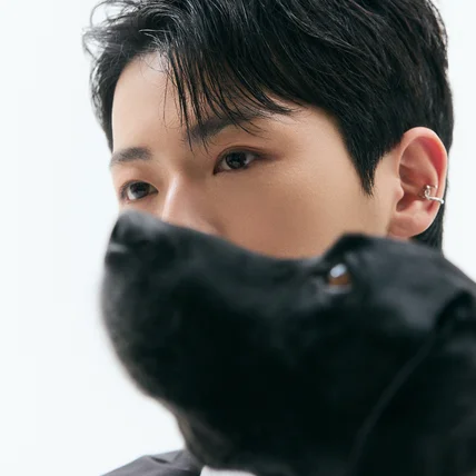 포트폴리오-[모델, 촬영] 웹 메거진 대형견 패션 화보 촬영, 룩북 촬영, 리트리버 모델 섭외까지