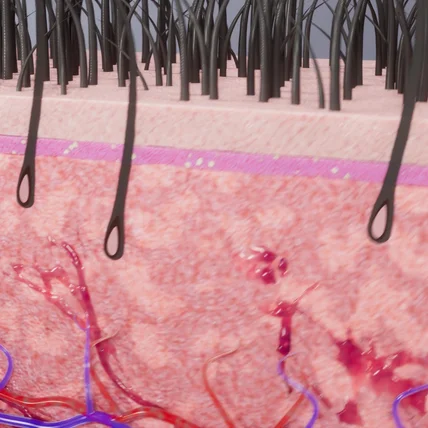 포트폴리오-cerea xosome 헤어 두피 모발 [cg/모델링/애니메이팅] 참여
