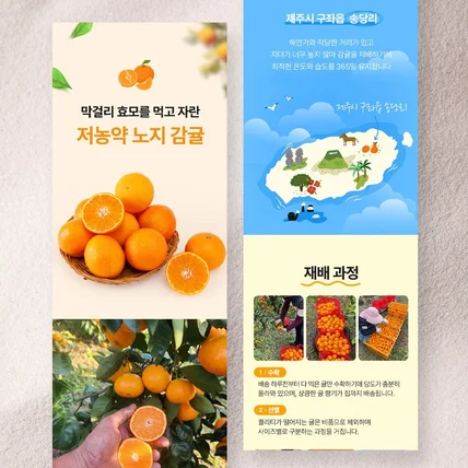 포트폴리오-#음식·음료 과일 귤 상세페이지 디자인