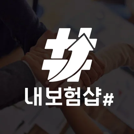 포트폴리오-보험회사로고 손해 화재 생명 보험사 CI 로고 제작 디자인