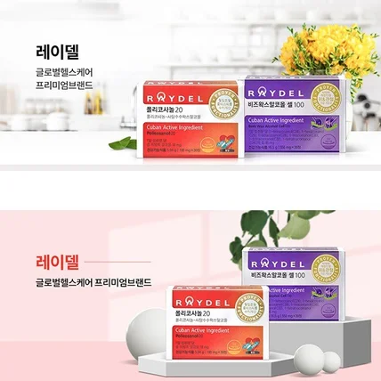 포트폴리오-레이델코리아_브랜드검색광고