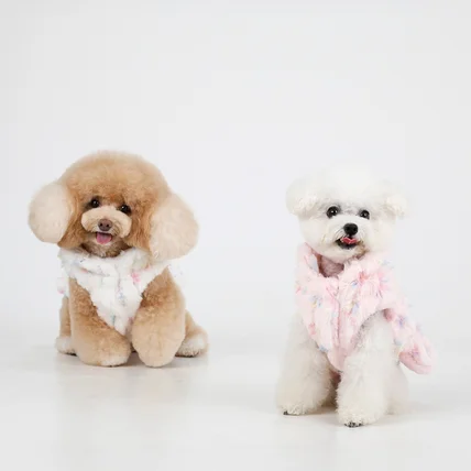 포트폴리오-[애견모델섭외/촬영/조명/보정] 25 F/W 의류촬영