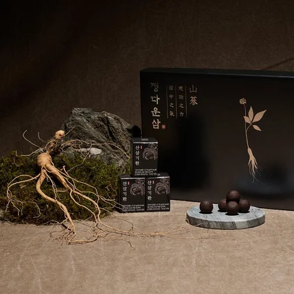 포트폴리오-산삼 촬영 및 페이지 디자인