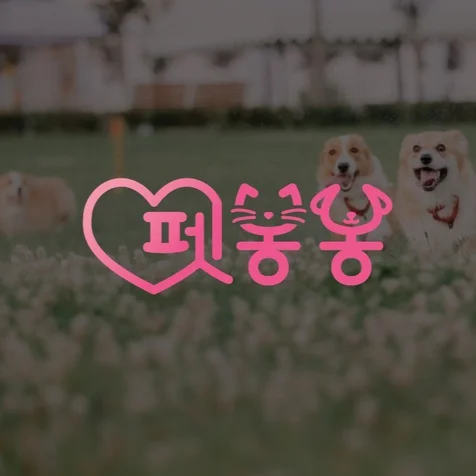 포트폴리오-반려동물 펫샵 로고디자인