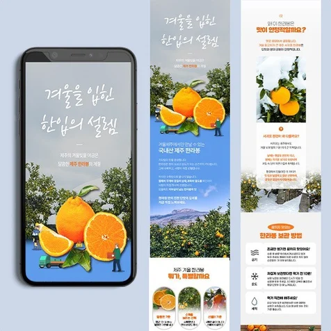 포트폴리오-식품 한라봉 상세페이지
