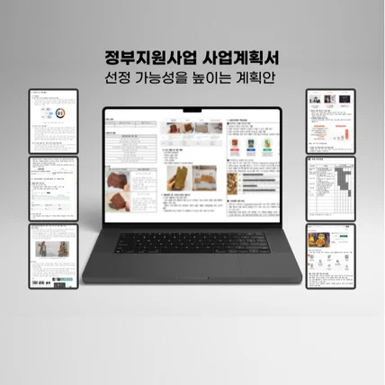 포트폴리오-정부지원사업 사업계획서, 선정 가능성을 높이는 기획안