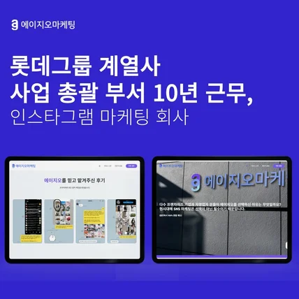 포트폴리오-롯데그룹 계열사 사업 총괄 부서 10년 근무,  '에이지오마케팅'