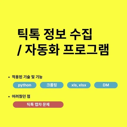 포트폴리오-틱톡 정보 수집 자동화 프로그램