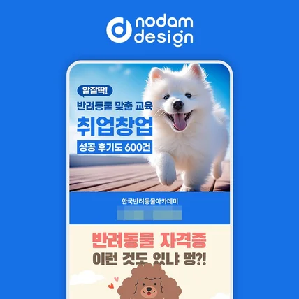 포트폴리오-놀담디자인 포폴 _ 한국반려동물아카데미 카드뉴스