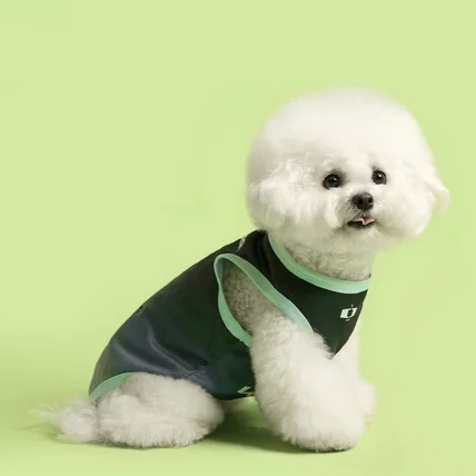 포트폴리오-[모델, 촬영, 보정] 기아 강아지 유니폼 촬영, 비숑 모델 섭외까지