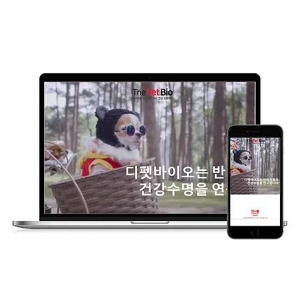 포트폴리오-브랜드 (애견)
