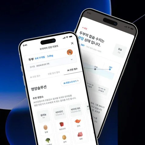 포트폴리오-내 반려동물 AI 맞춤 영양관리 앱