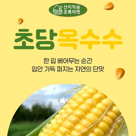 포트폴리오-초당옥수수 상세페이지