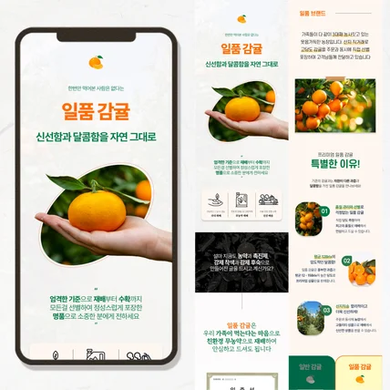 포트폴리오-일품 감귤