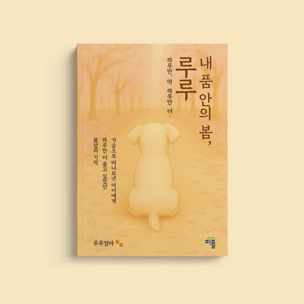 포트폴리오-단행본 디자인