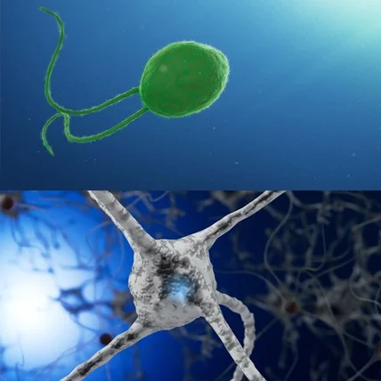 포트폴리오-[3D의료영상제작] 의료 세미나 3D영상 제작