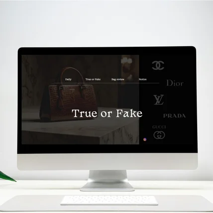 포트폴리오-TRUE OR FAKE