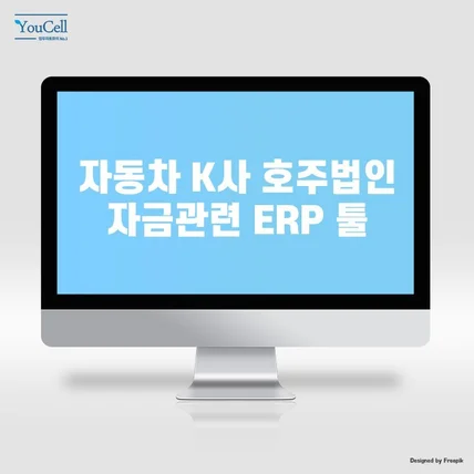 포트폴리오-자동차 대기업 K사 호주 법인 자금 관련 ERP