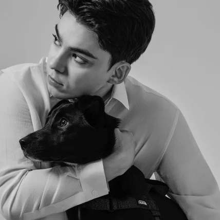 포트폴리오-[촬영/조명/보정] 목줄, 하네스, 리드줄 브랜드 제품 촬영