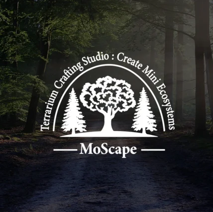 포트폴리오-[테라리움 로고] MoScape