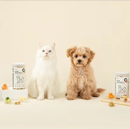 포트폴리오-[촬영/리터칭] 강아지, 고양이 유산균 (반려동물간식) 촬영 / 동물 모델 동반