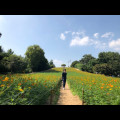 K1*****_썸네일