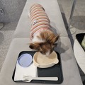 시크*****_썸네일