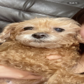 창창*****_썸네일