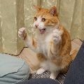 아름*****_썸네일