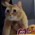 유쾌*****_썸네일