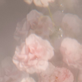 나아린 프로필